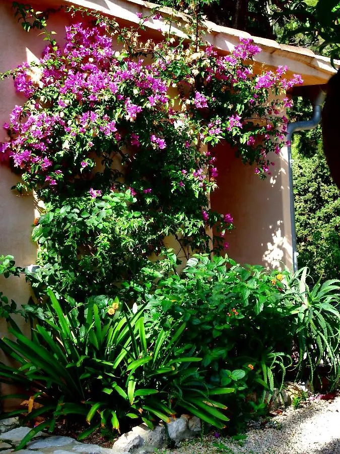 Ca'N Bando Hotel Sóller